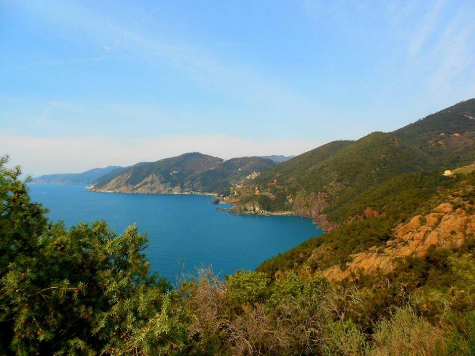 Hotel Pensione Moderna Bonassola Bagian luar foto